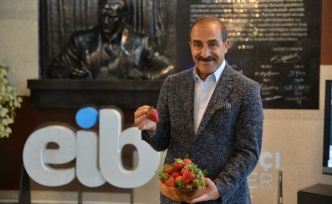 Çilek ihracatında yüzde 333’lük rekor artış
